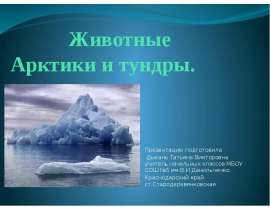 Животные Арктики и тундры