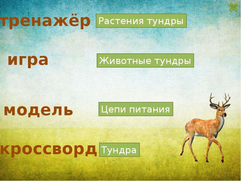 Цепь тундры. Игра цепи питания тундры. Правильная схема питания тундра. Схема для начальной школы тундра. Игра город животное растение.