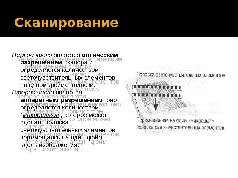 Максимальное количество графической информации на одном слайде в презентации