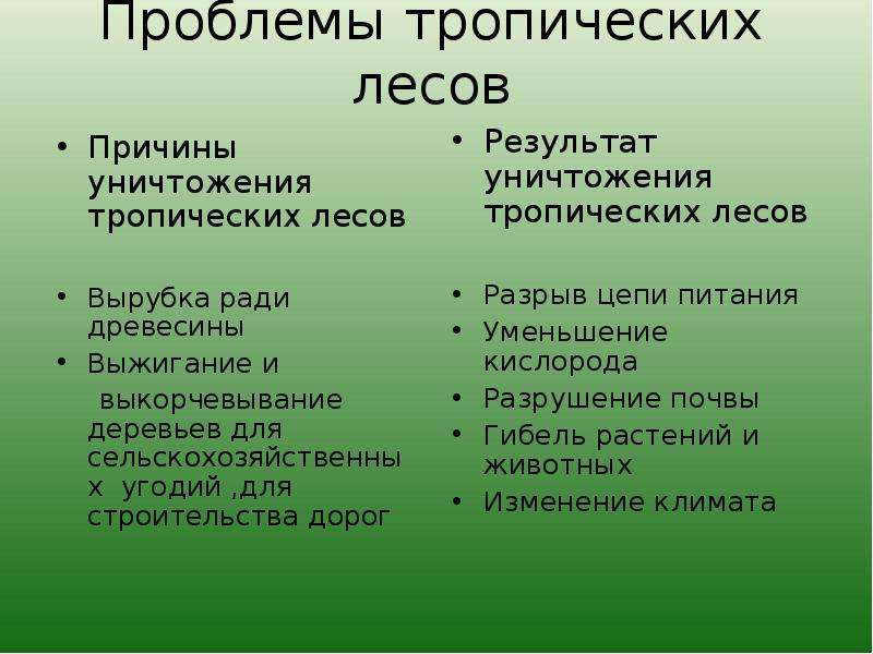 Исчезнут проблемы. Проблема исчезновения тропических лесов 4 класс. Проблема исчезновения тропических лесов 4 класс окружающий мир. Причины исчезновения тропических лесов. Решение проблемы исчезновения тропических лесов.