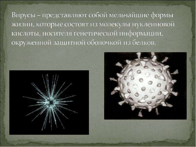 Мельчайшая форма жизнь. Что представляют собой вирусы. Вирусы представляют собой молекулы. Микромир вирусы. Вирус состоит из молекул.