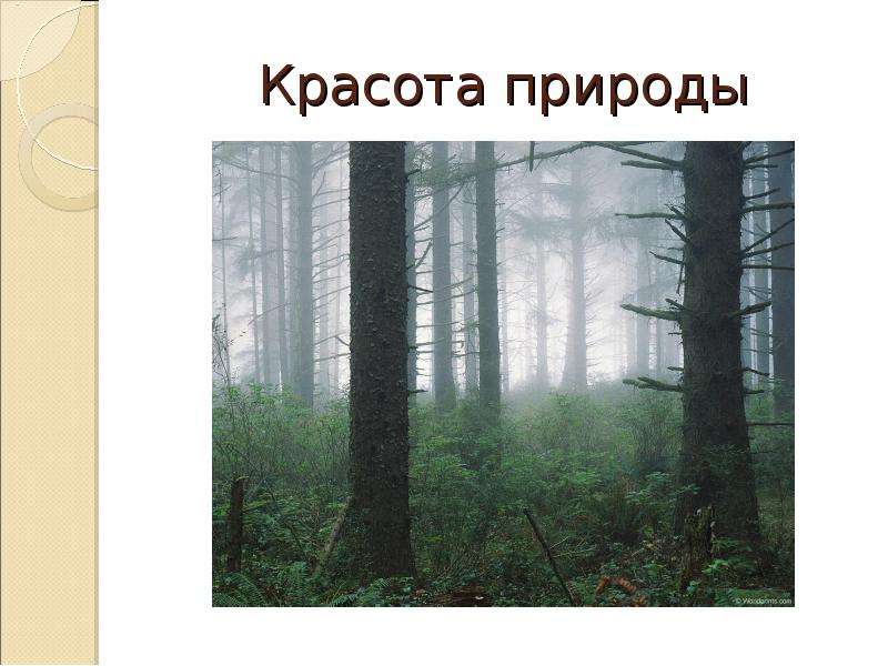 Изображение природы в различных состояниях презентация 2 класс школа россии