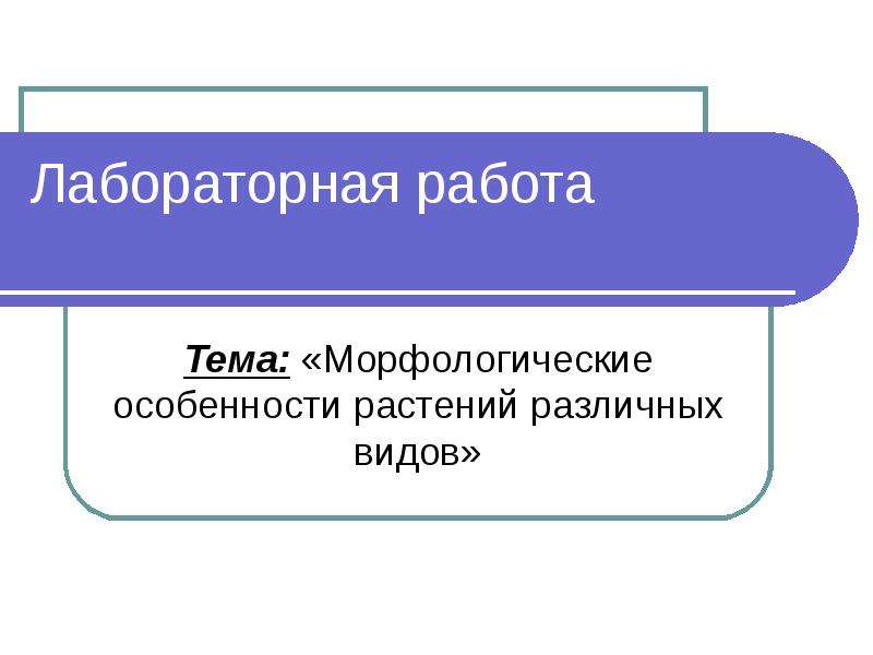 Морфологические особенности. Морфологические особенности растений. Лабораторная работа морфологические особенности. Лабораторная морфологические особенности растений различных видов. Морфологические особенности растений различных видов.