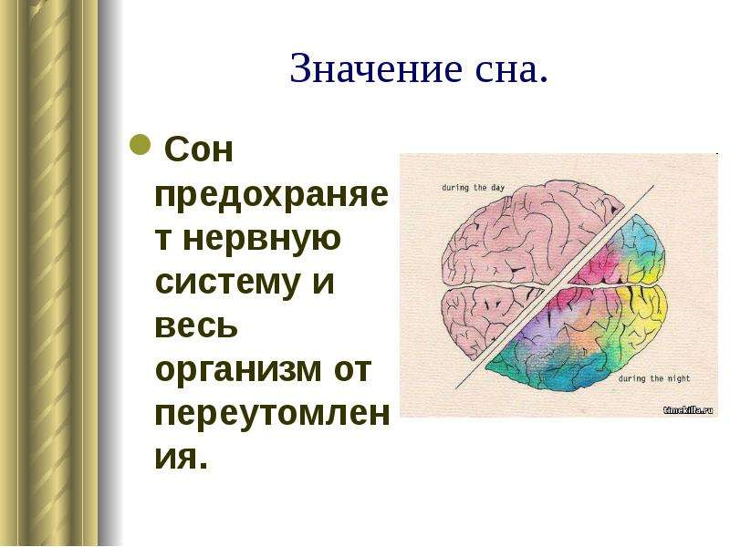 Летаргический сон презентация