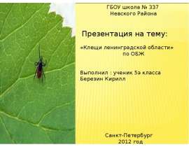 Клещи ленинградской области