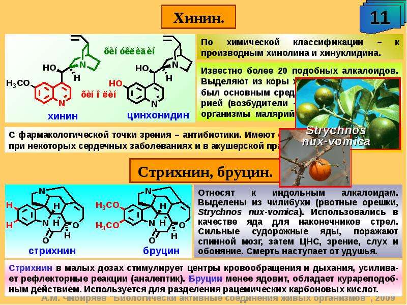 Презентация по химии алкалоиды