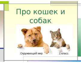 Про кошек и собак 2 класс