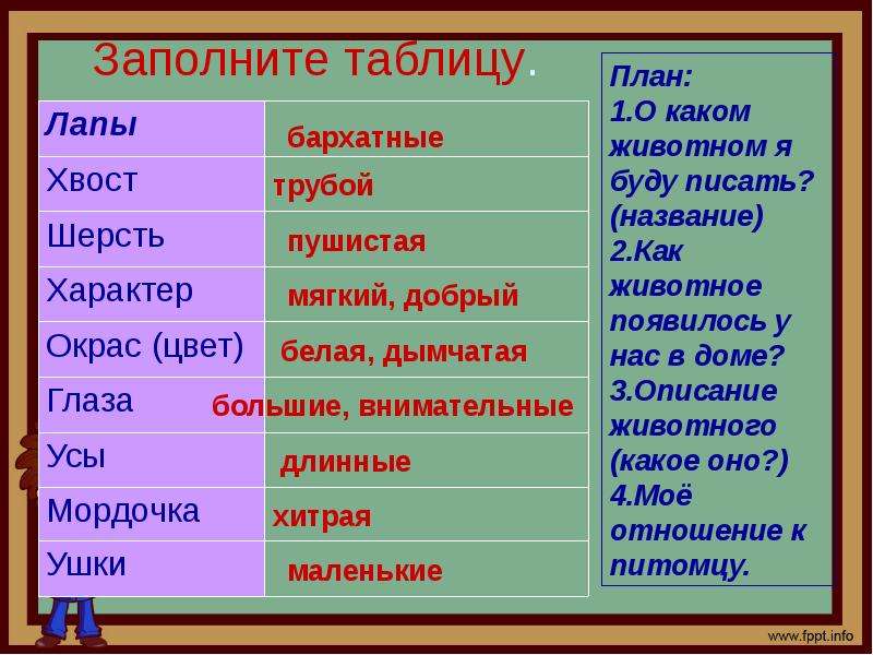 План описания животного 7 класс