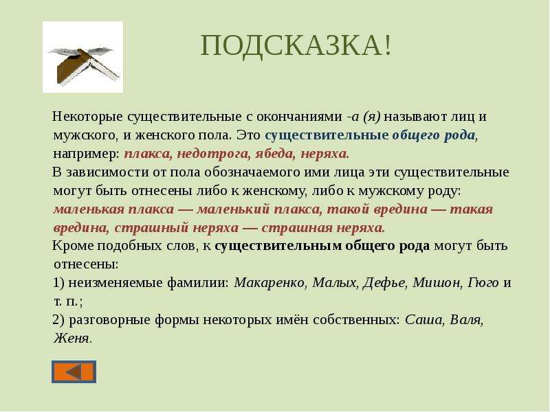 Названные существительные. Существительные общего рода с окончанием я. Словосочетания с сущ общего рода. Существительного общего рода недотрога. Имена существительные могут быть.