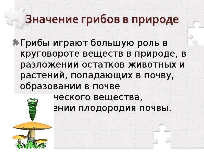 Какую роль играют грибы в природе. Роль грибов в круговороте веществ. В круговороте веществ в природе грибы играют роль. Роль почвенных грибов в природе.