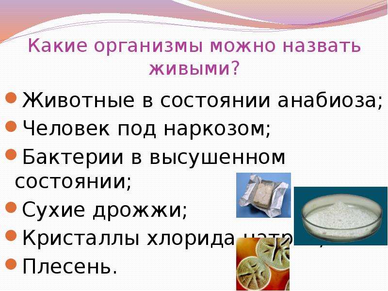 Можно ли назвать то. Животныe в состоянии Анабиоз. Какие тела называют живыми. Какие системы называют живыми. Состояние анабиоза.