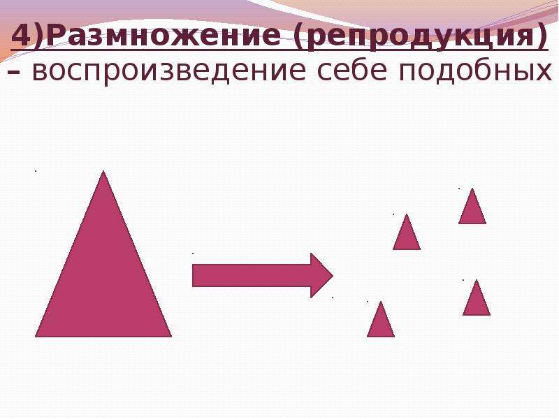 Способность организмов воспроизводить себе подобных. Воспроизведение живых систем. Размножение воспроизведение себе подобных. Воспроизведение себе подобных. Размножение воспроизведение себе подобных примеры.