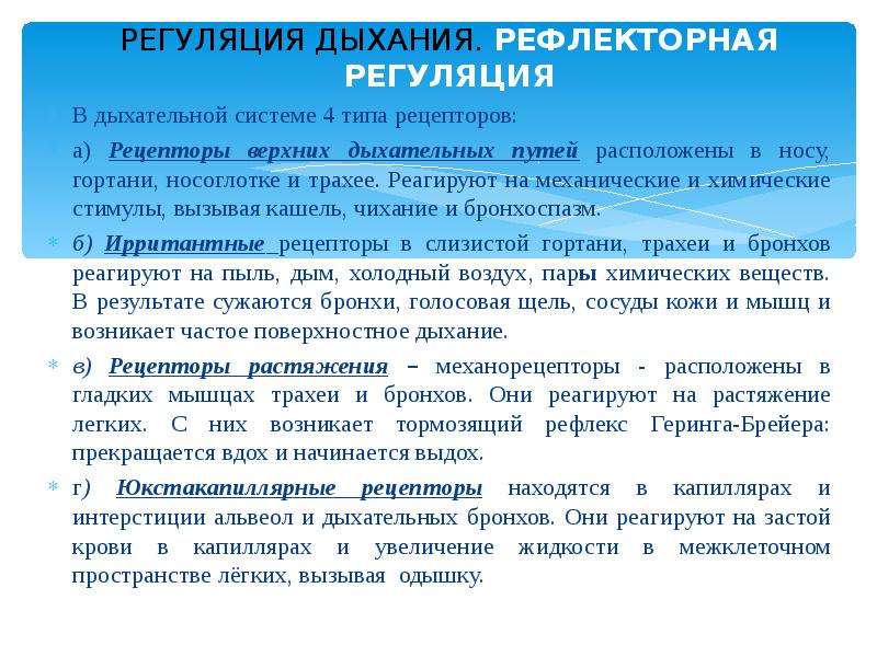 Не дают трахее сужаться. Рецепторы дыхательной системы. Рецепторы регуляции дыхания. Типы рецепторов участвующих в регуляции дыхания. Рефлекторная регуляция дыхания.