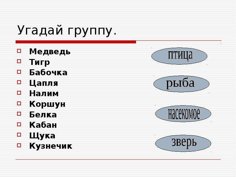 Угадай группу. Распределите по группам бабочка цапля Оса.