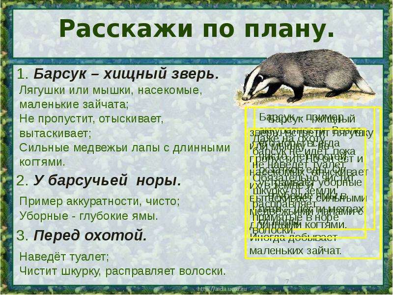 План на рассказ барсучий нос