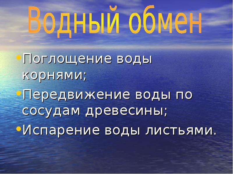 Передвижение по воде 1 класс технология презентация