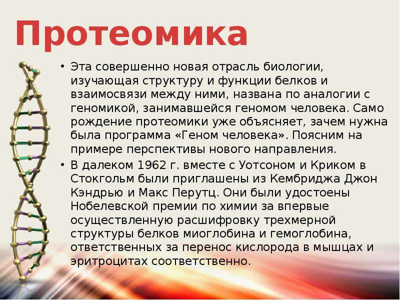 Геном презентация 10 класс