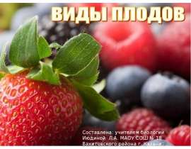 Виды плодов