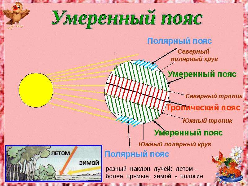 Северный полярный южный полярный. Северный Полярный пояс. Северный Тропик пояс. Умеренный пояс земли. Северный умеренный пояс.