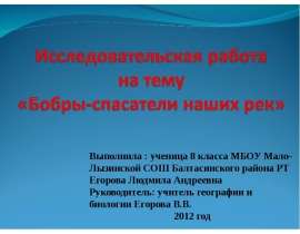 Бобры-спасатели наших рек