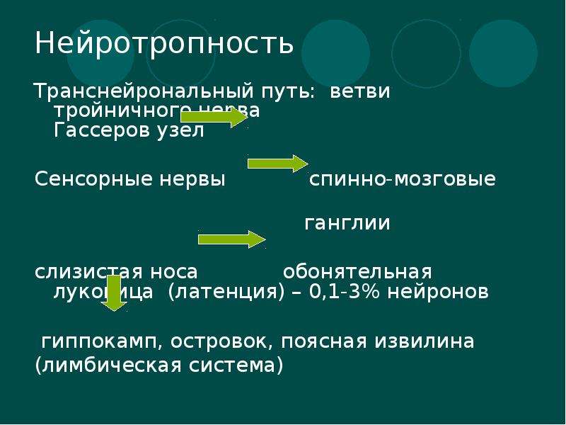 Ветви путей. Нейротропность. Выраженной нейротропностью. Выраженной нейротропностью обладают. Выраженной нейротропностью обладают вирусы.