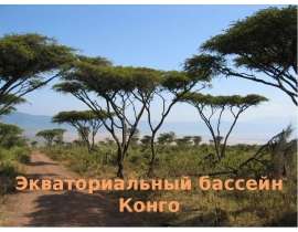 Экваториальный бассейн Конго