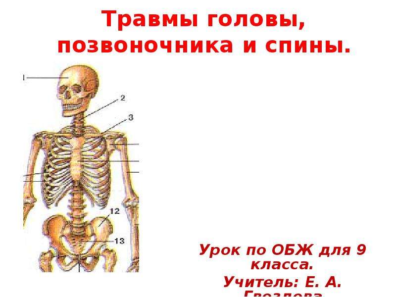 Травма позвоночника - первая помощь при повреждении позвоночника, реабилитация после, симптомы