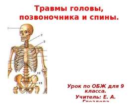 Травмы головы, позвоночника и спины