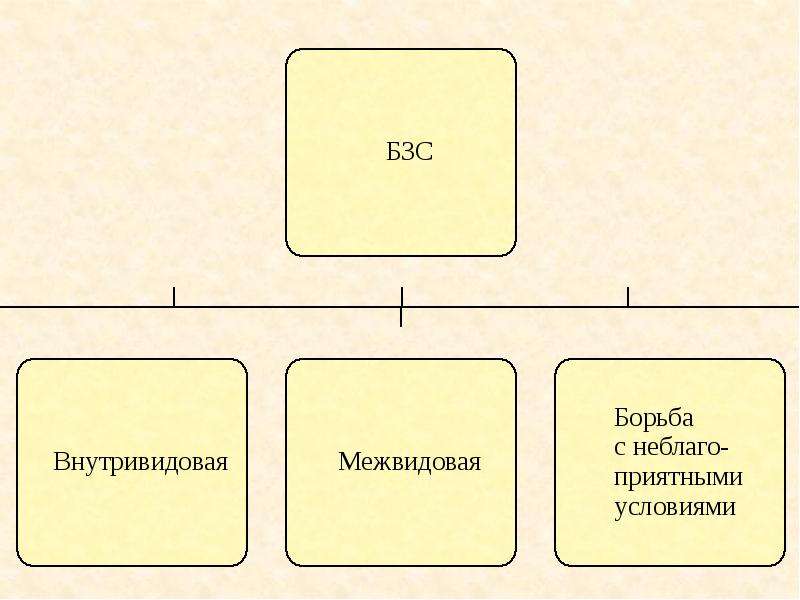 Борьба за существование презентация 9 класс