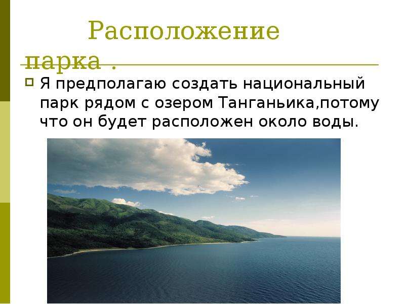 Создание проекта парка для культурно досуговых и развлекательных программ вид проекта