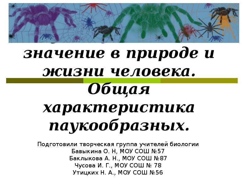 Многообразие паукообразных и их значение в природе и жизни человека план презентации