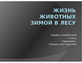 Жизнь животных зимой в лесу