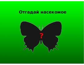Отгадай насекомое