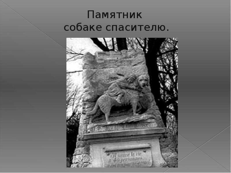 Памятники животным в россии фото и описание презентация