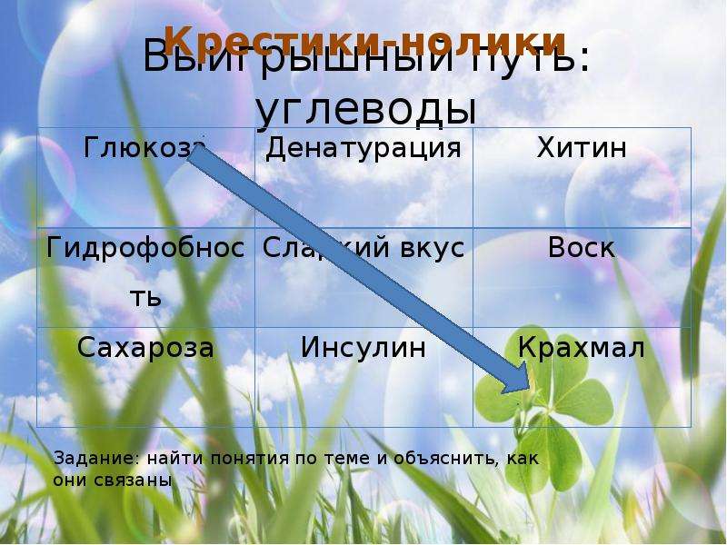 Органические вещества клетки углеводы