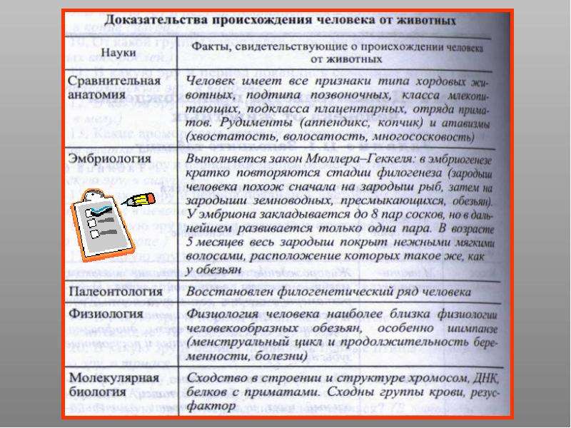 Доказательства происхождения человека от животных презентация 11 класс