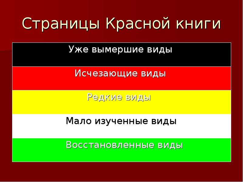 Первая страница красной книги фото Красная книга. Охрана редких видов Ленинградской области - презентация, доклад, 