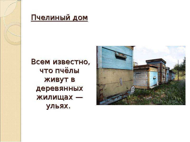 Пчелиные домики согласование в управление. Домик для пчел. В США В доме жили пчелы. Дом Пчелина Челябинск. Как пчелы домик строили Младова текст.