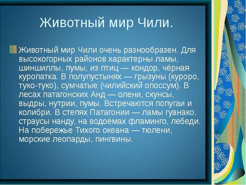 Проект про чили