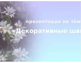 Декоративные швы
