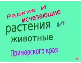 Редкие и исчезающие растения и животные Приморского края