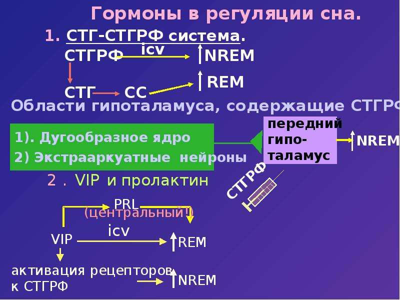 Гормон оказывающий влияние на регуляцию сна. Регуляция сна. Регуляция сна физиология. Нейрогуморальная регуляция сна. Механизмы сна для презентации.