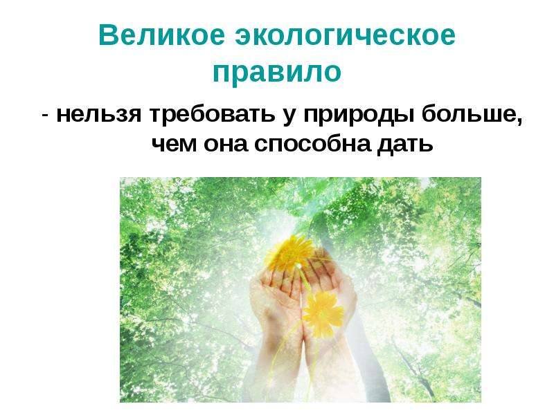 Проект человек и природа 7 класс обществознание