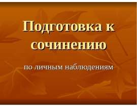 Подготовка к сочинению (по личным наблюдениям)
