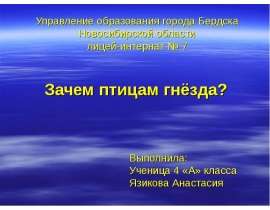 Зачем птицам гнёзда?
