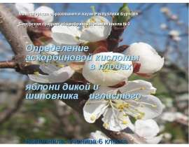Определение аскорбиновой кислоты в плодах яблони дикой и шиповника иглистого