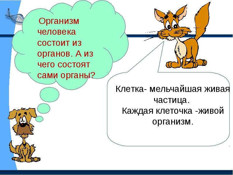 Является ли человек частью живой природы 5 класс презентация