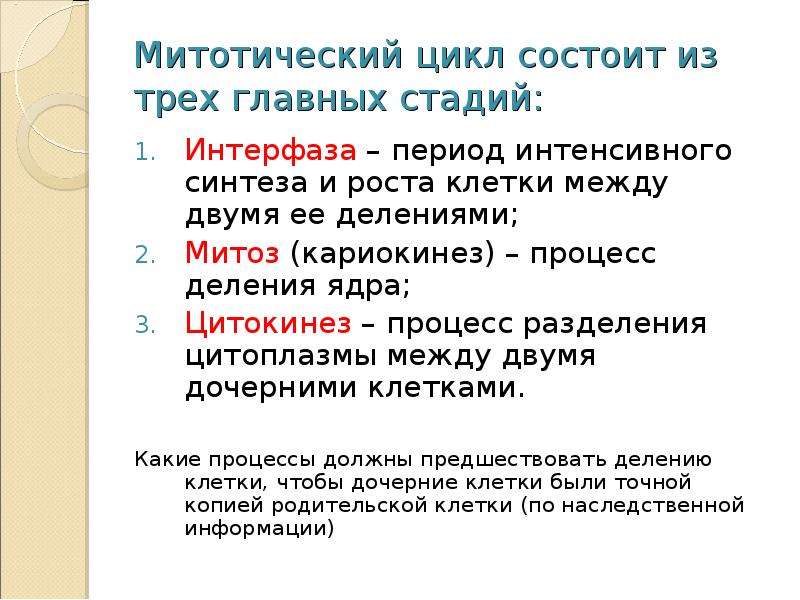 Какой вид и стадия деления обозначены на рисунке какие признаки характерны для этой стадии