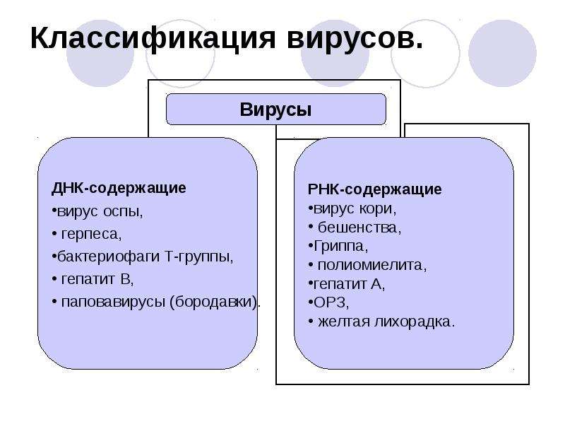 Вирусы перечислить. Классификация и структура вирусов. Классификация вирусов схема. Классификация вирусов по строению. Классификация вирусов таблица.