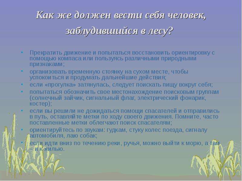 Где чаще ставят. Как человек должен вести себя в лесу. Правила поведения в местах массового отдыха. Как вести себя если потерялся в лесу. Правила поведения в лесу.